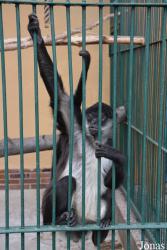 Zoo Spišská Nová Ves