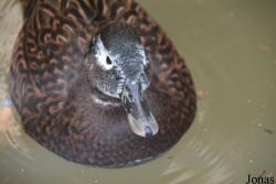 Zoologická Záhrada Košice