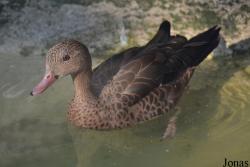Zoologická Záhrada Košice
