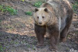 Zoologická Záhrada Košice