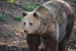 Zoologická Záhrada Košice