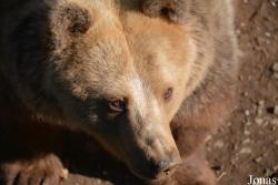 Zoologická Záhrada Košice