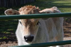 Zoologická Záhrada Košice
