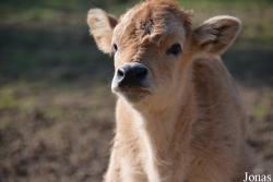 Zoologická Záhrada Košice
