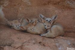 Jardin Zoologique de Rabat