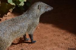 Jardin Zoologique de Rabat