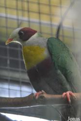 Kölner Zoo