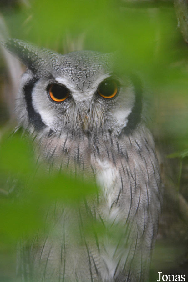 Vogelpark Olching
