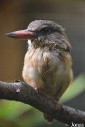 Vogelpark Olching