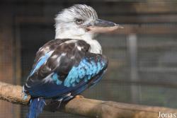 Vogelpark Olching