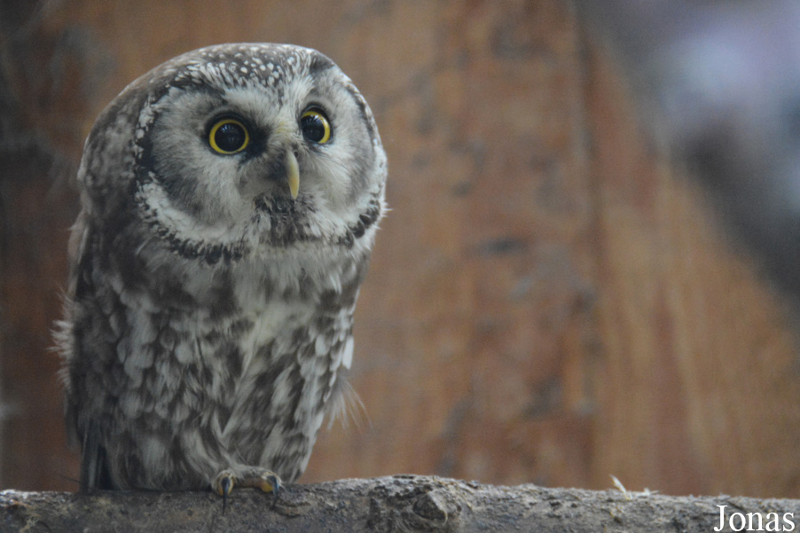 Vogelpark Olching