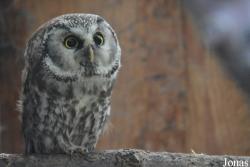 Vogelpark Olching