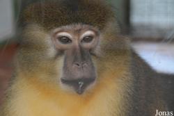 Budapest Zoo