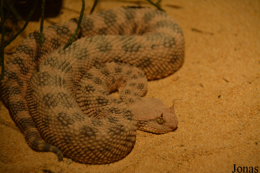 Zoo Basel