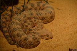 Zoo Basel