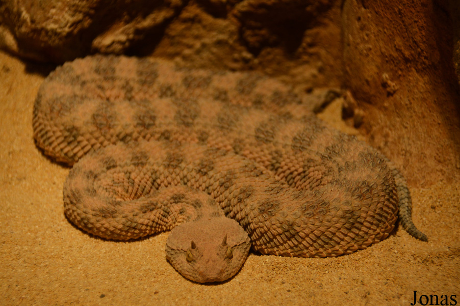 Zoo Basel