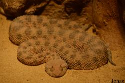 Zoo Basel