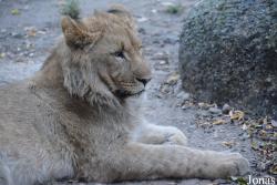 Zoo Basel