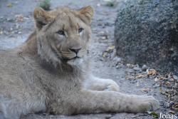 Zoo Basel