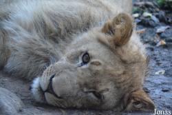 Zoo Basel