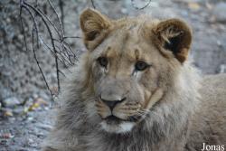 Zoo Basel