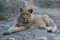 Zoo Basel