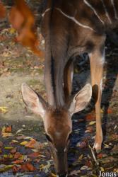 Zoo Basel