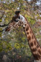 Zoo Basel