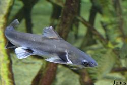 Tropicarium Budapest