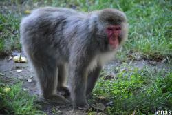 Zoo Jászberény