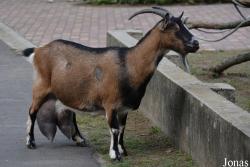Debreceni Nagyerdei Kultúrpark