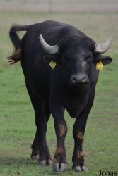 Pusztai Állatkert