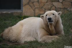 Nyíregyházi Állatpark Sosto Zoo