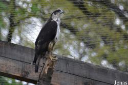 Nyíregyházi Állatpark Sosto Zoo