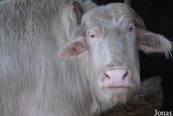 Nyíregyházi Állatpark Sosto Zoo