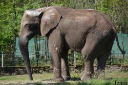 Nyíregyházi Állatpark Sosto Zoo