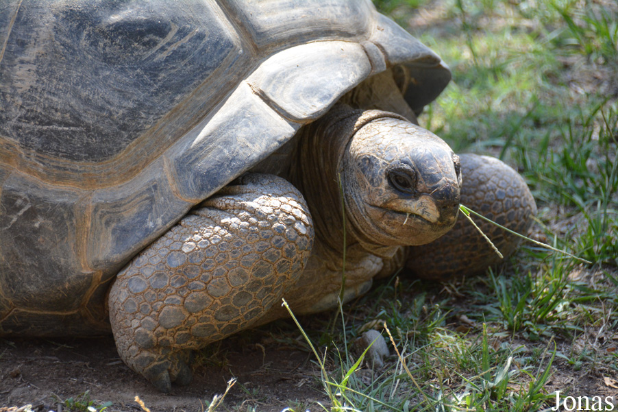 La Vallée des Tortues