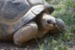La Vallée des Tortues