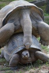 La Vallée des Tortues