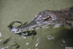Dierenpark Emmen