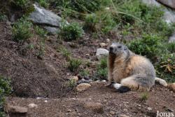 Parc Animalier des Angles en Capcir