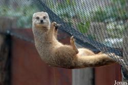 GaiaPark Kerkrade Zoo