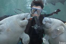 Hengqin Chimelong Ocean Kingdom