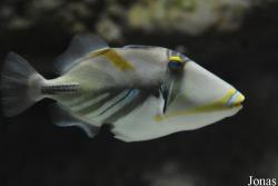 Hangzhou Underwater World