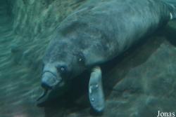 Hangzhou Polar Ocean World