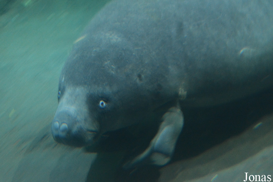 Hangzhou Polar Ocean World