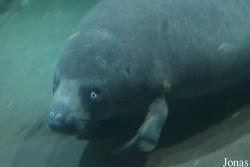Hangzhou Polar Ocean World
