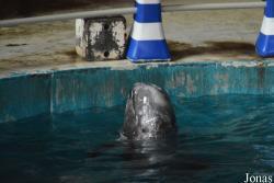 Hangzhou Polar Ocean World