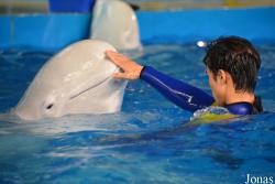 Hangzhou Polar Ocean World
