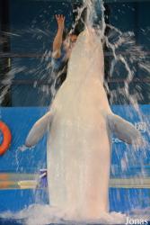 Hangzhou Polar Ocean World
